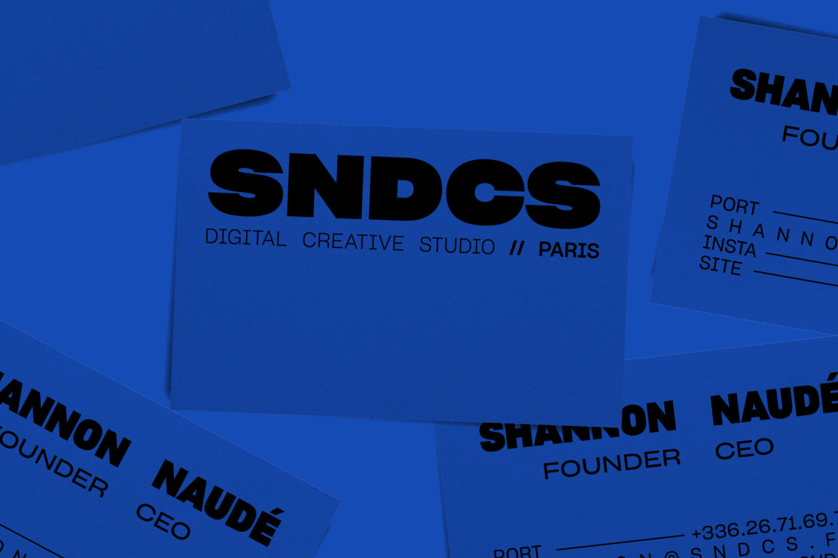 BZ_SDNCS10