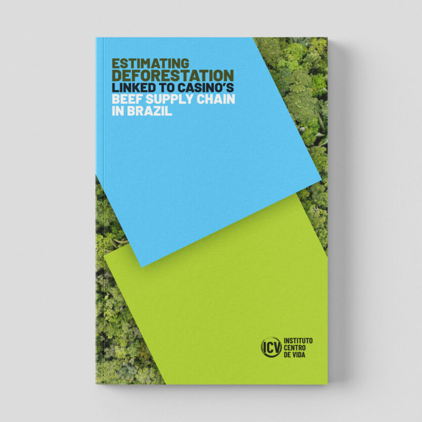 Rapport Déforestation